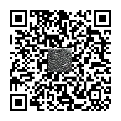 待添加